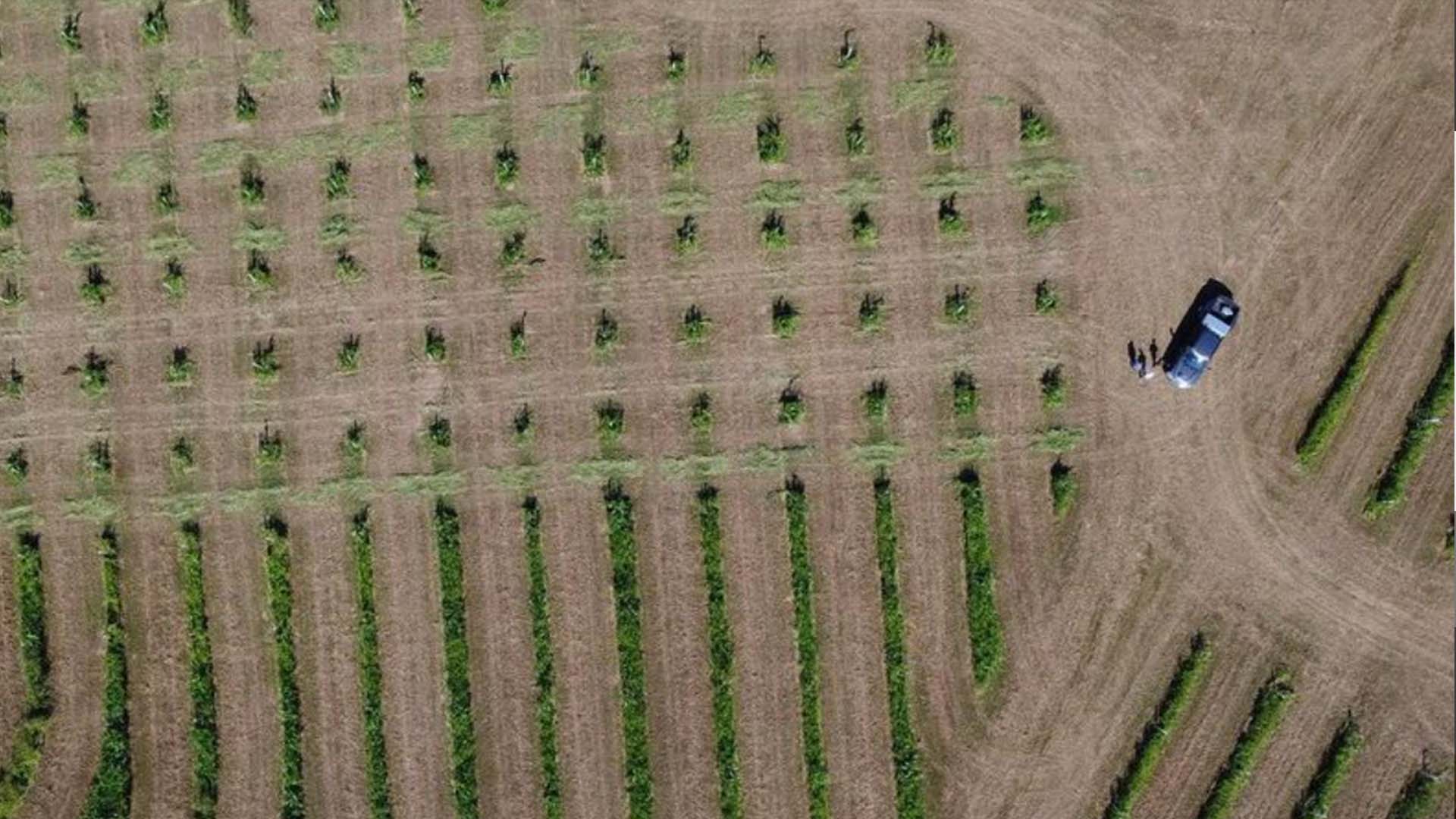 Propogate Fields from a drone's perspective.